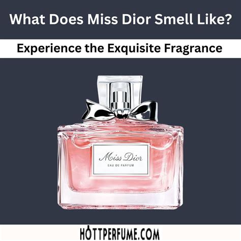 miss cristian dior|what does miss dior perfume smell like.